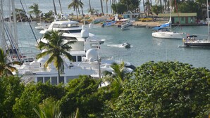 A marina with various boats docked, surrounded by palm trees and a beach area.