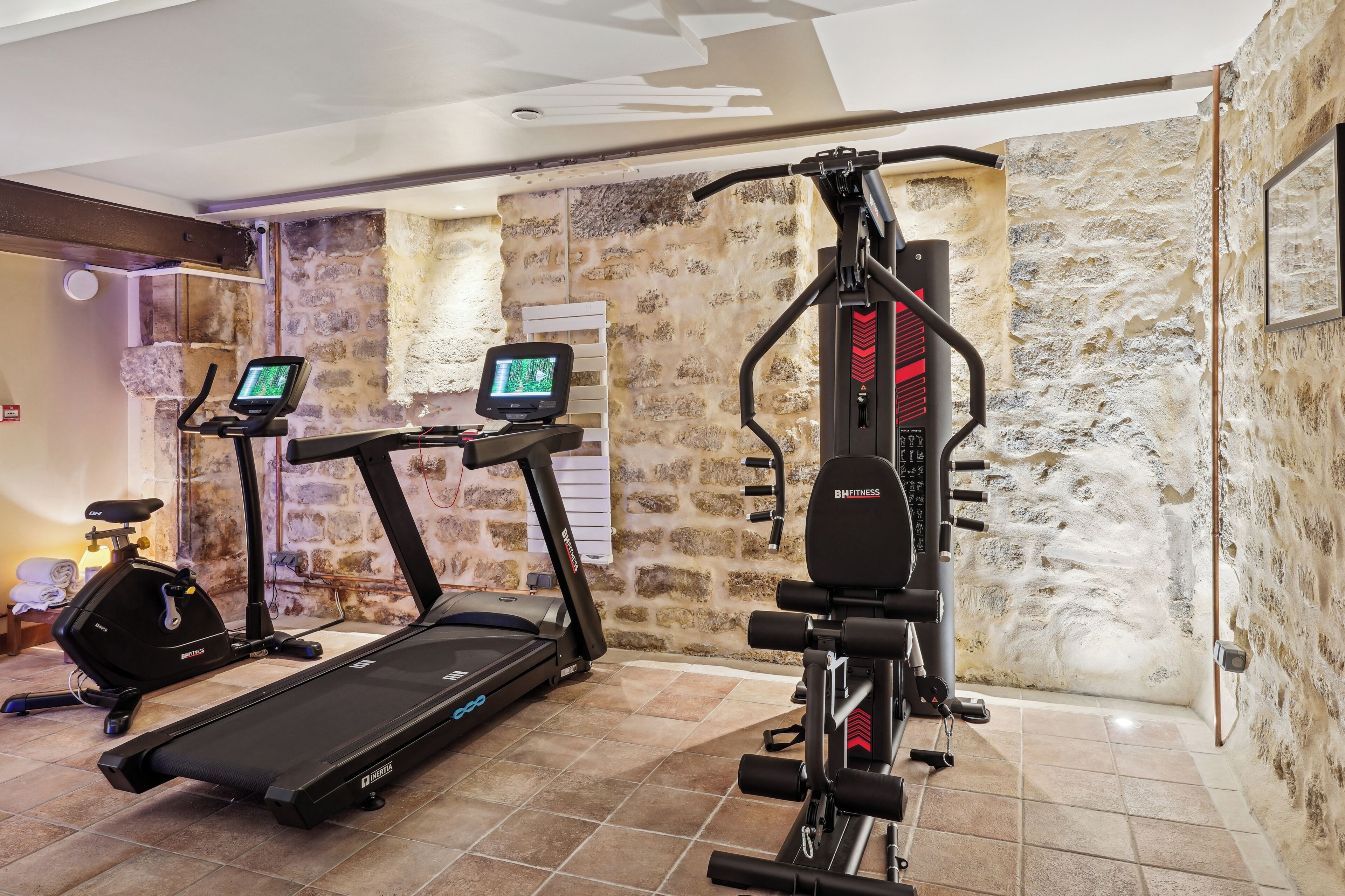 Un gimnasio en casa con cintas de correr, elípticas y máquinas de pesas.