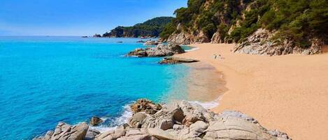 Beach nearby, sun loungers