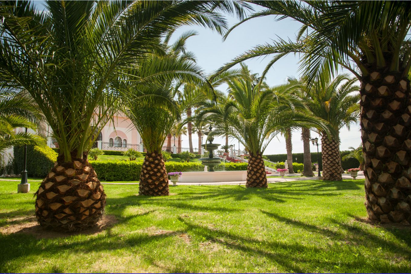 Un giardino curato con palme e una fontana.