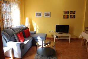 Télévision, cheminée, livres