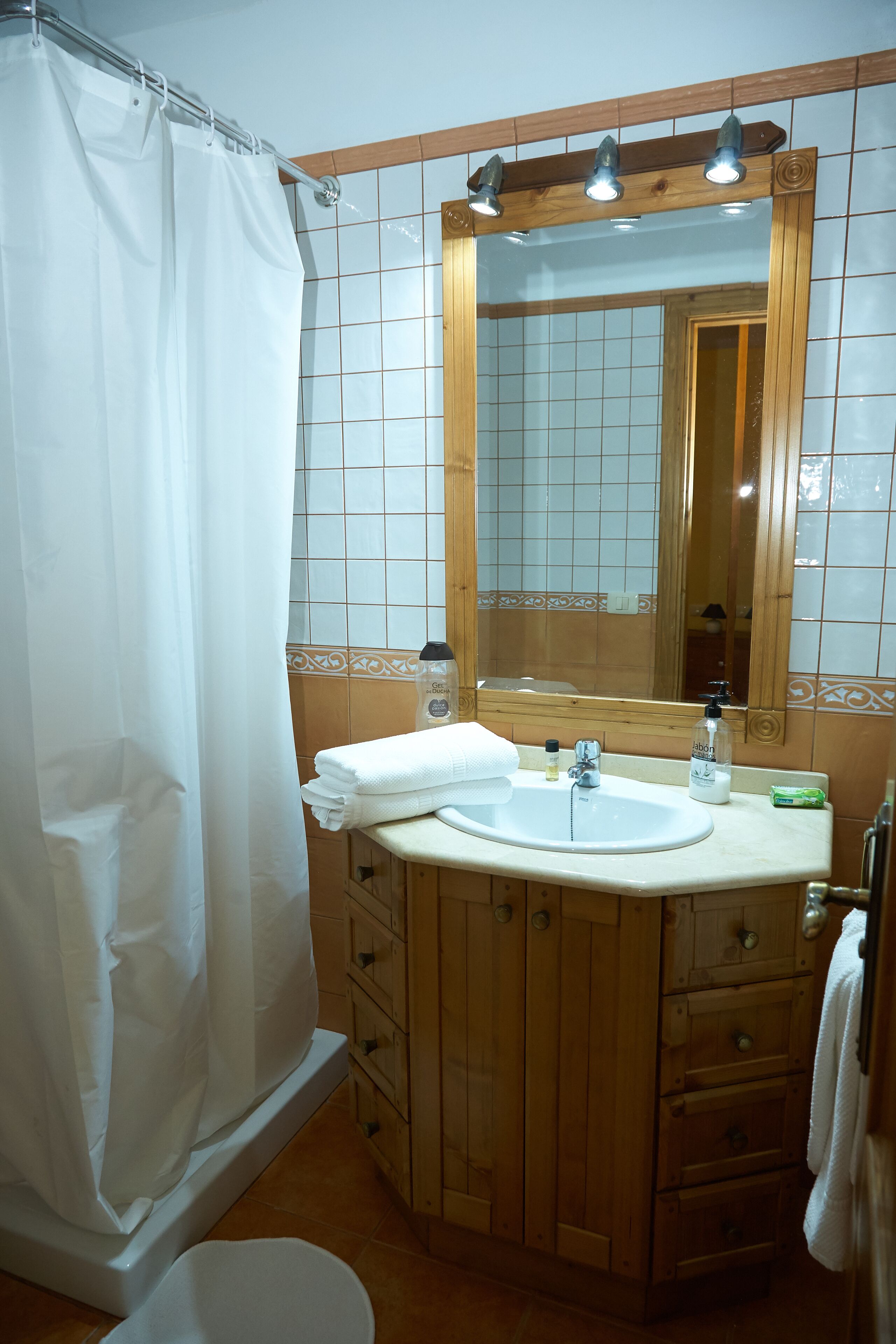 Un baño con ducha, lavabo y espejo.