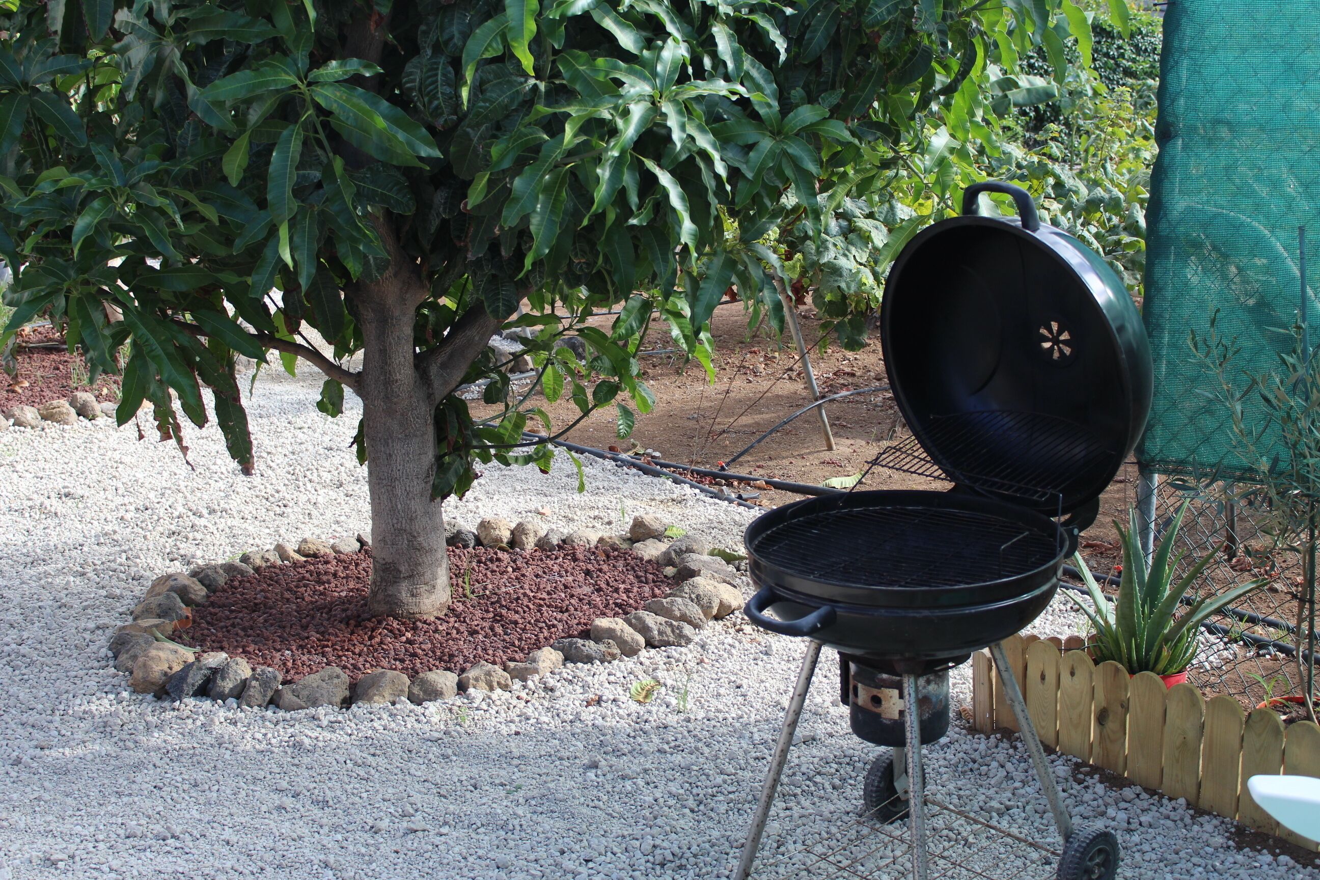 Una parrilla para barbacoa con tapa metálica, sobre una superficie de grava, con un árbol y una cerca de madera al fondo.