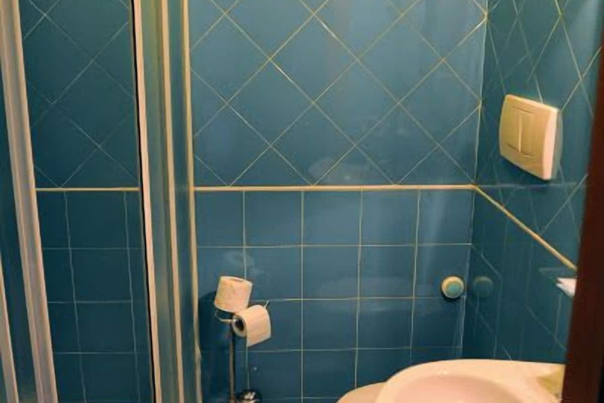 single room | bathroom | shower, free toiletries, hair dryer, towels