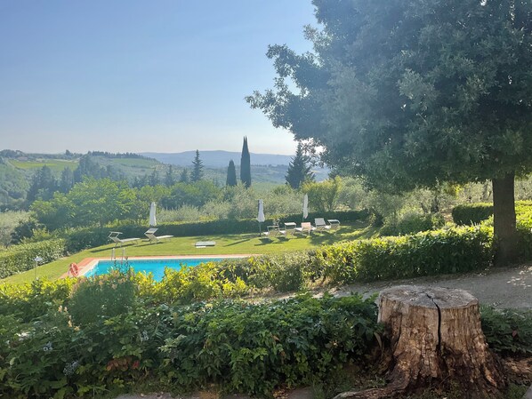 Outdoor pool - Apartment Suite Azalea. Pool, panoramic view on the Chianti hills. (Tavarnelle Val di Pesa)
