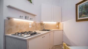 Fridge, oven, stovetop, coffee/tea maker