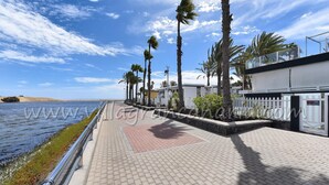 Un paseo marítimo con sendero pavimentado, palmeras y vista al mar.