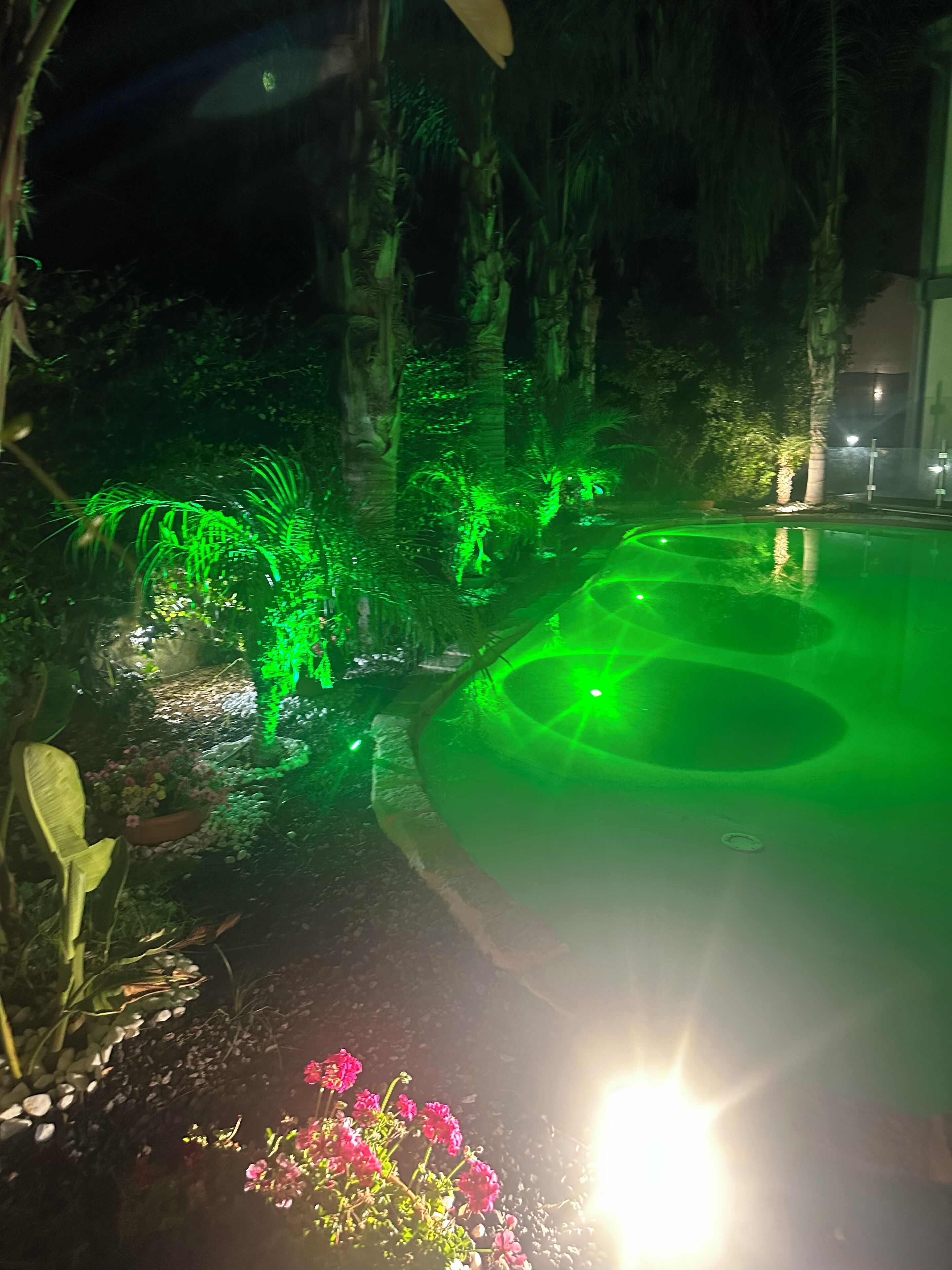 Un jardin nocturne avec des allées illuminées et un étang.