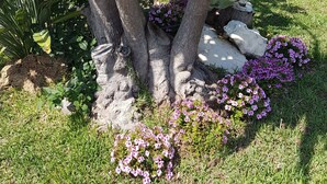 A garden with trees, a stone wall, and flowering plants. - Villa Joel with splendid swimming pool in the heart of Fontane Bianche (Fontane Bianche)