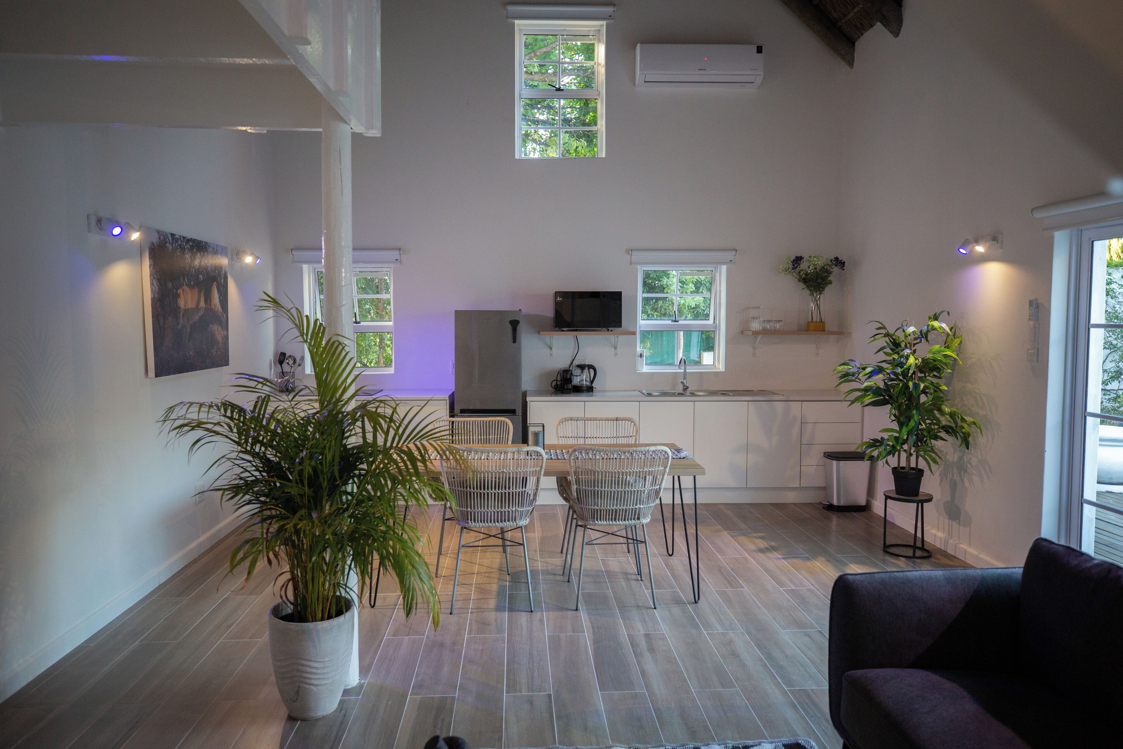 A modern kitchen with white cabinets, a dining area with a table and chairs, and a living room with a sofa. There are potted plants and a TV in the kitchen.