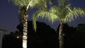 Two palm trees illuminated at night. - 4 Bedroom Deluxe Villa, Private Pool, Mature Grounds, Hot Tub*, Putting Green + (Quarteira)