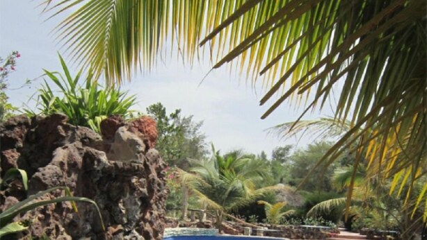 A swimming pool with a stone wall and tropical vegetation.