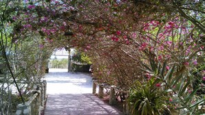 A pathway lined with flowering plants and stone railings, leading to a building in the distance.