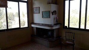 Une pièce avec une cheminée, deux fenêtres et un fauteuil.