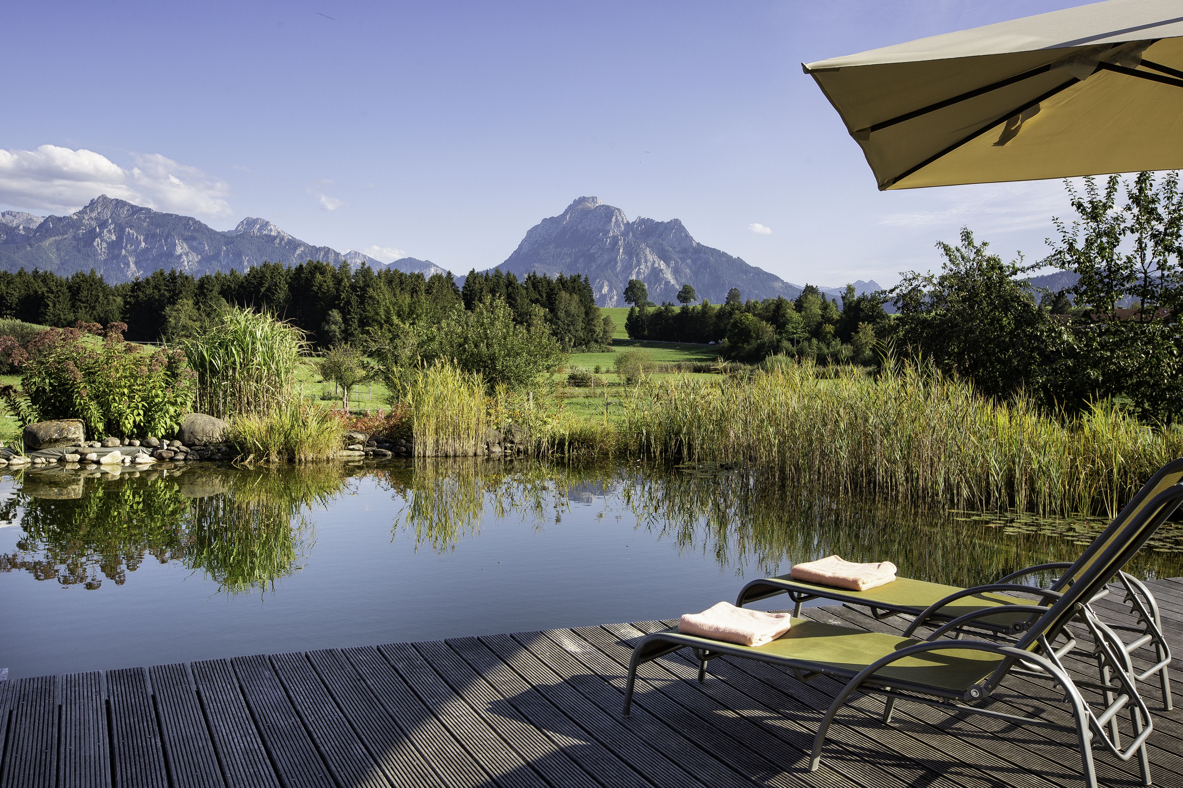 Luxury-Chalet, 1 Schlafzimmer, Kamin, Poolblick | Ausblick vom Zimmer
