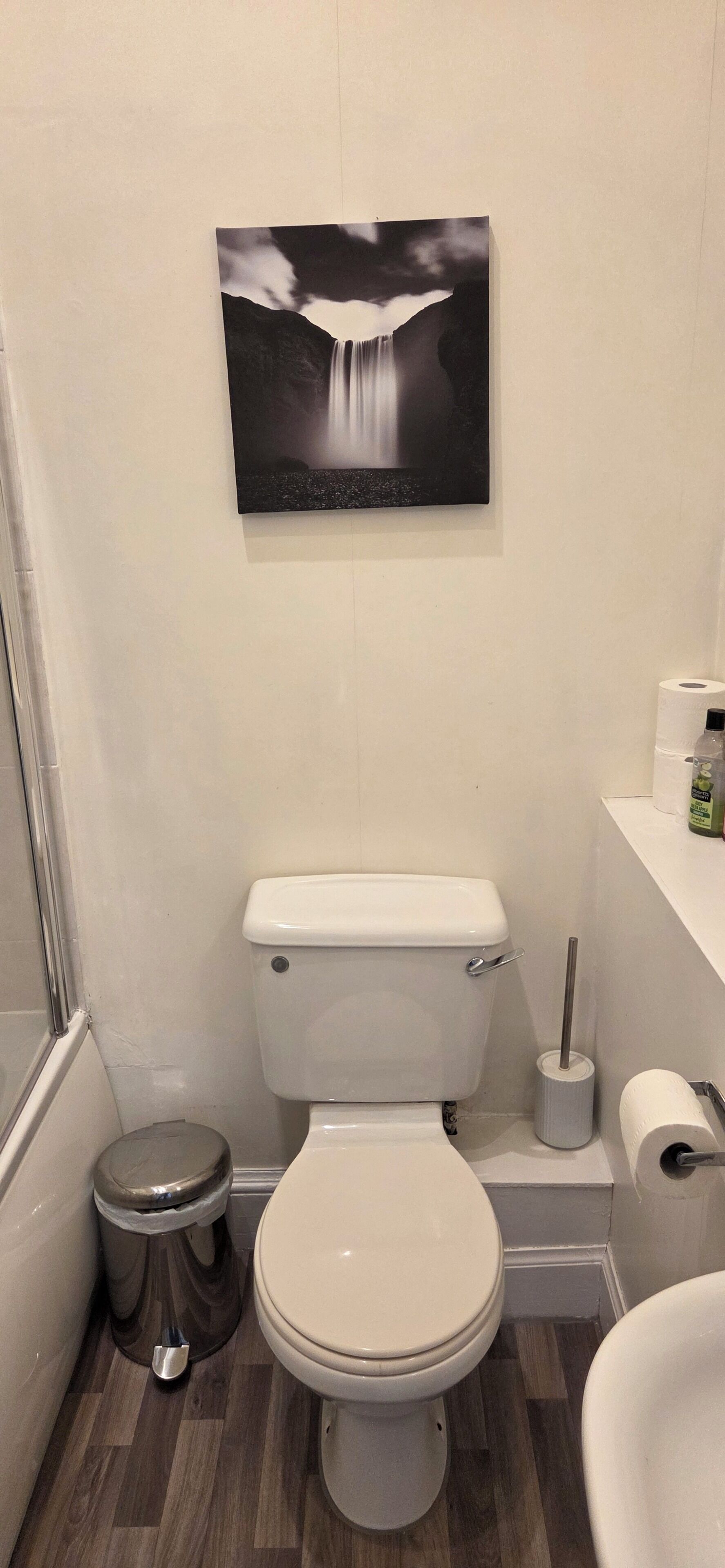 A bathroom with a toilet, a trash can, a roll of toilet paper, and a wall-mounted picture of a waterfall.