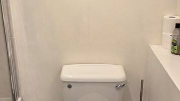A bathroom with a toilet, a trash can, a roll of toilet paper, and a wall-mounted picture of a waterfall.