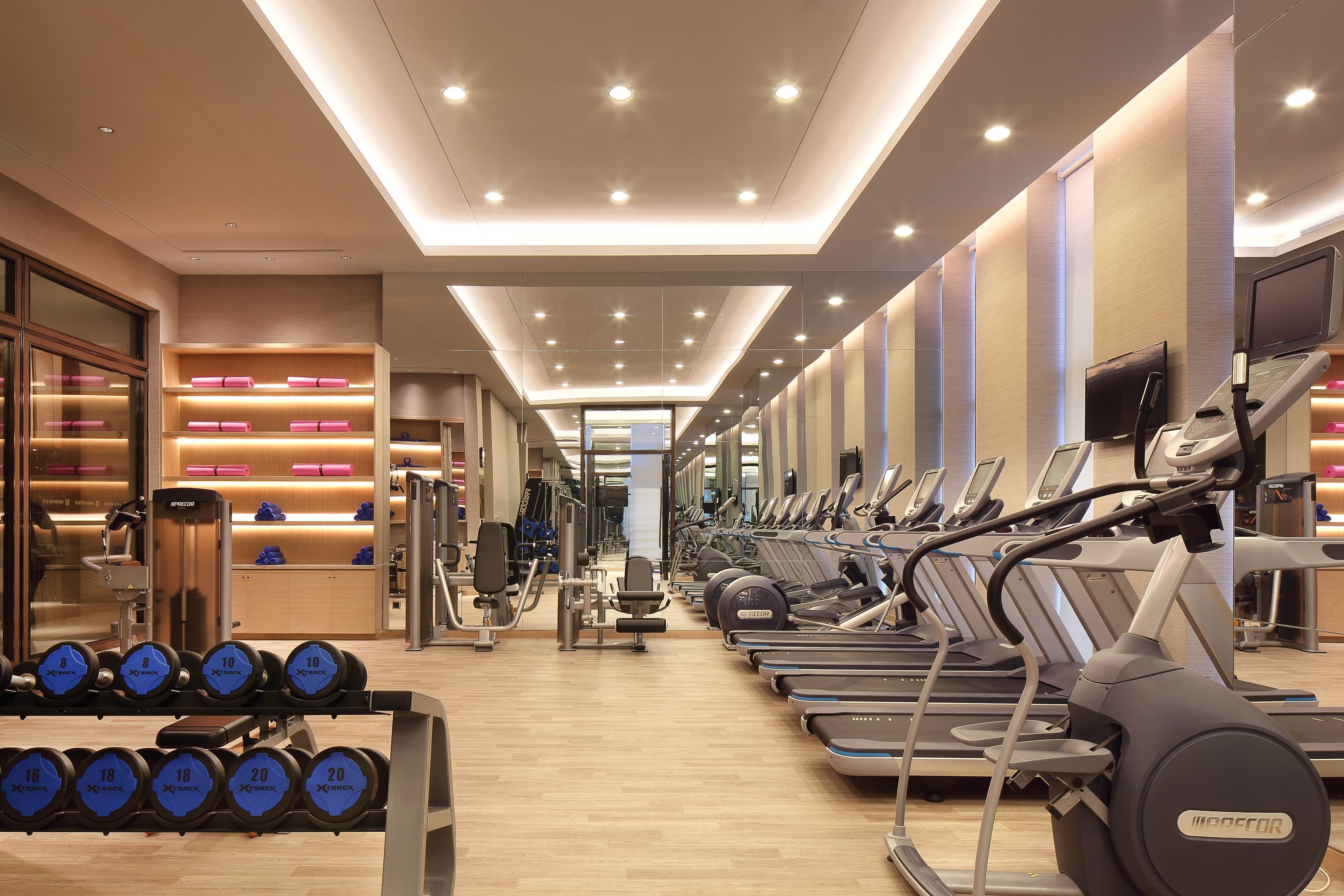 A gym with treadmills, dumbbells, and weight machines.