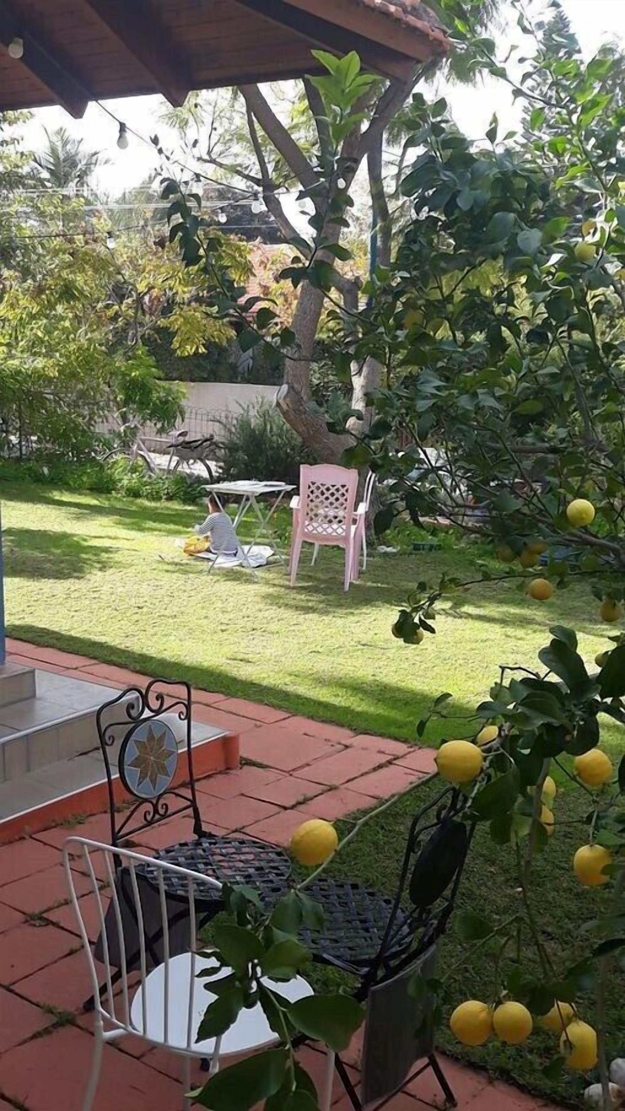 Un patio con mobiliario exterior, un limonero y un jardín.