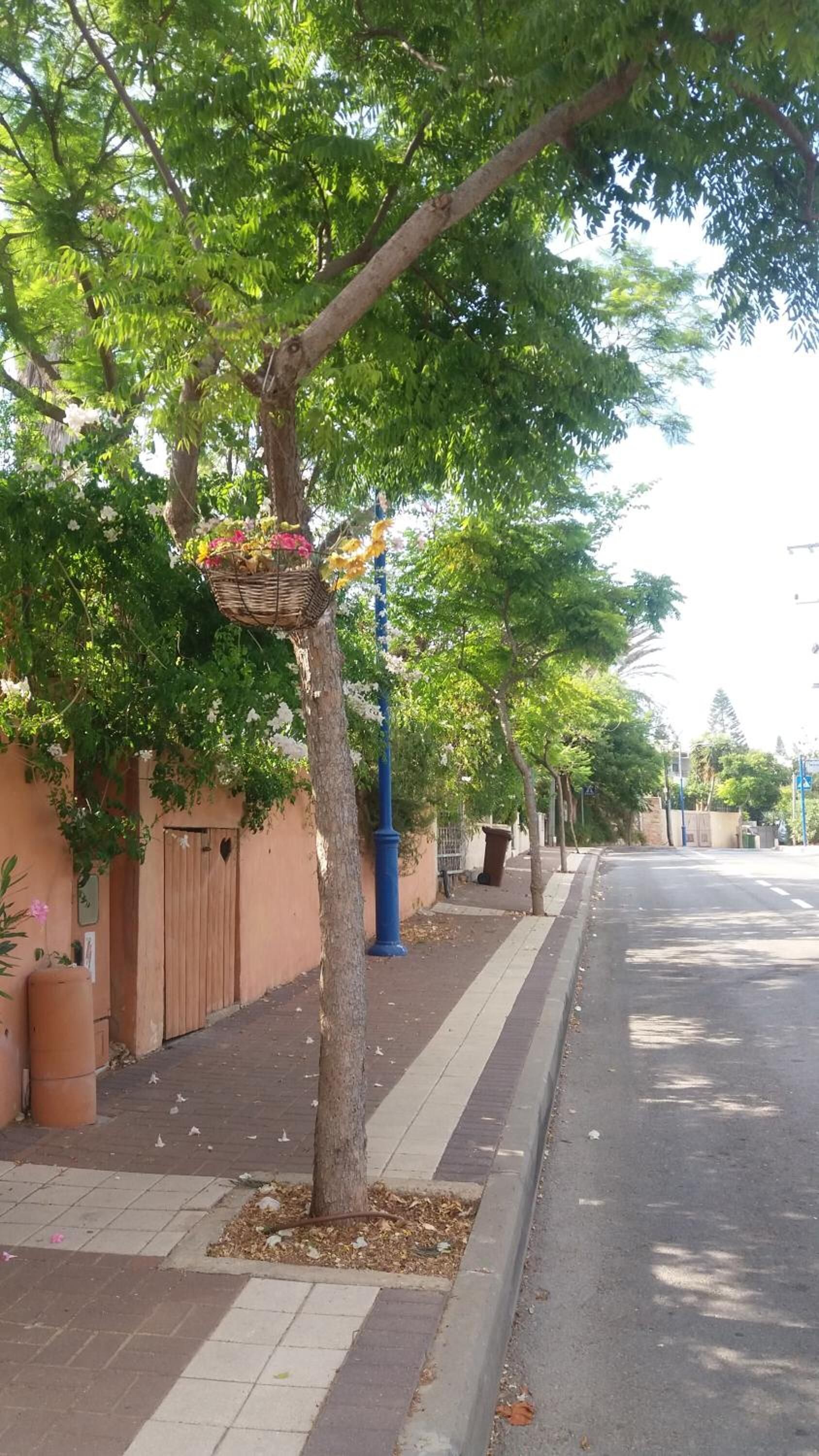 A tree-lined street with a sidewalk, a blue lamppost, and a building with a wooden door.