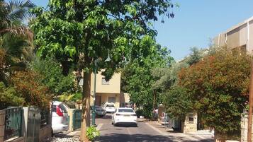 A residential street with parked cars, trees, and houses.