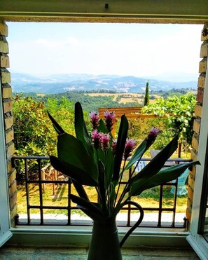 Interior - FARMHOUSE MONTESALCE-YELLOW APARTMENT (Gubbio)