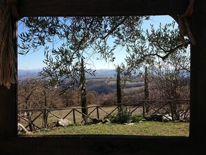 Property grounds - FARMHOUSE MONTESALCE-YELLOW APARTMENT (Gubbio)