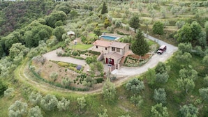 Una casa rodeada de abundante vegetación y un camino de entrada sinuoso.