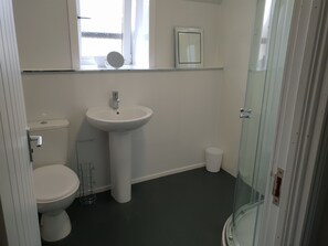 A bathroom with a toilet, sink, and a glass shower enclosure.