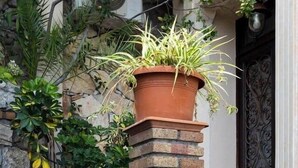 A brick pillar with a potted plant. - [Le Grand Bleu] - Villa Maremonti Taormina (Taormina)
