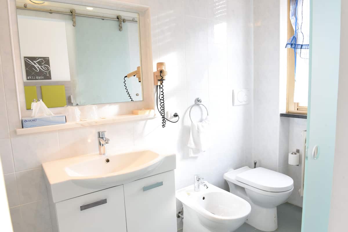 shower, free toiletries, hair dryer, bidet