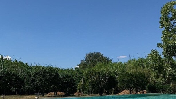A clear blue pool surrounded by trees and a clear sky. - Beautiful Villa with pool in the green of Salento, 110 sqm, quiet and luxurious (Cutrofiano)