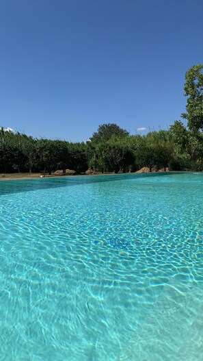 A clear blue pool surrounded by trees and a clear sky.