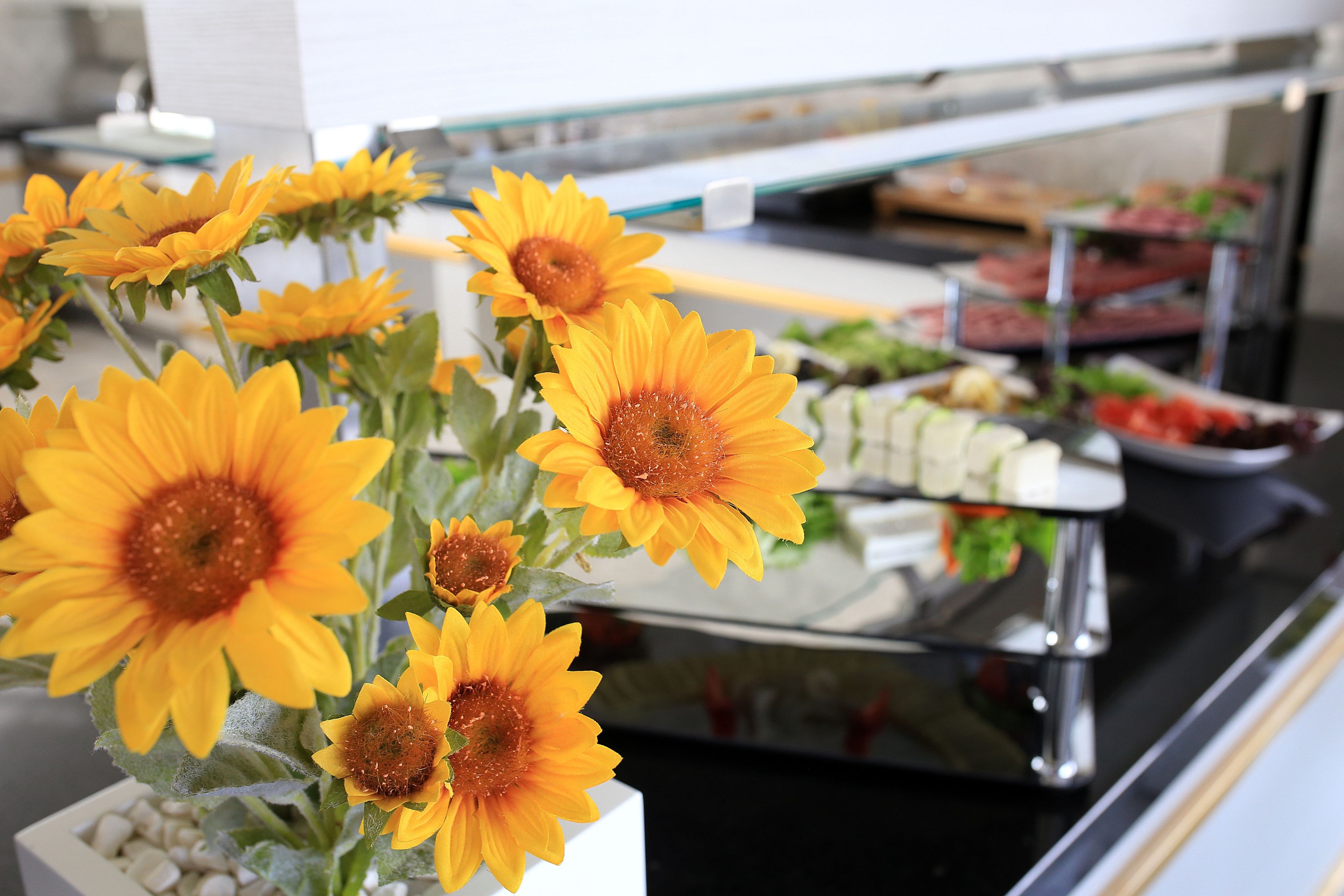 Photo - SVEO Business Hotel