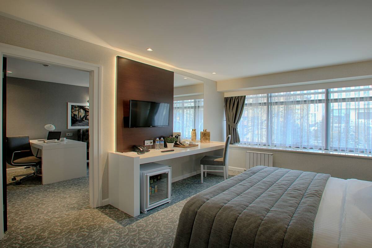 Suite, 1 Queen Bed