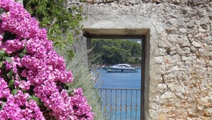 Un muro in pietra con un'apertura che dà su un corpo d'acqua, una grande pianta in vaso con fiori rosa, e una barca in lontananza.