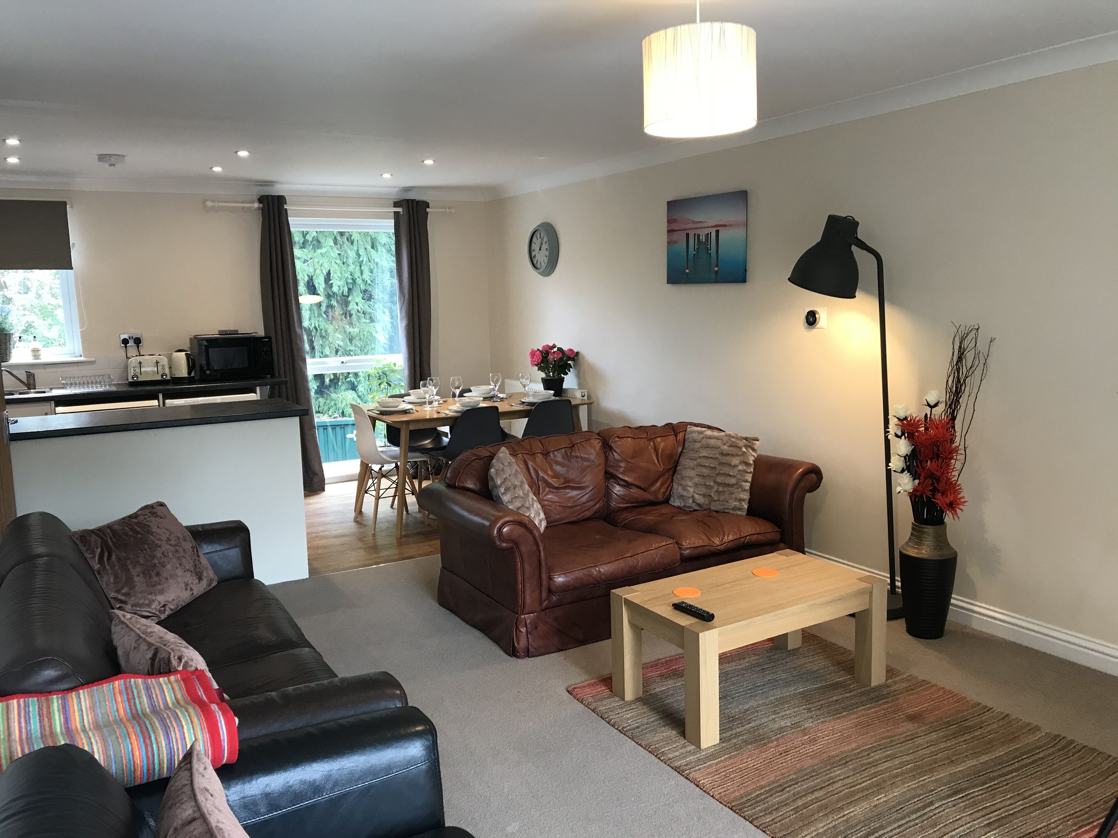 TV, DVD player, books