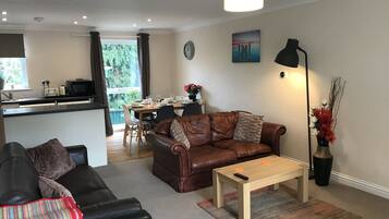TV, DVD player, books