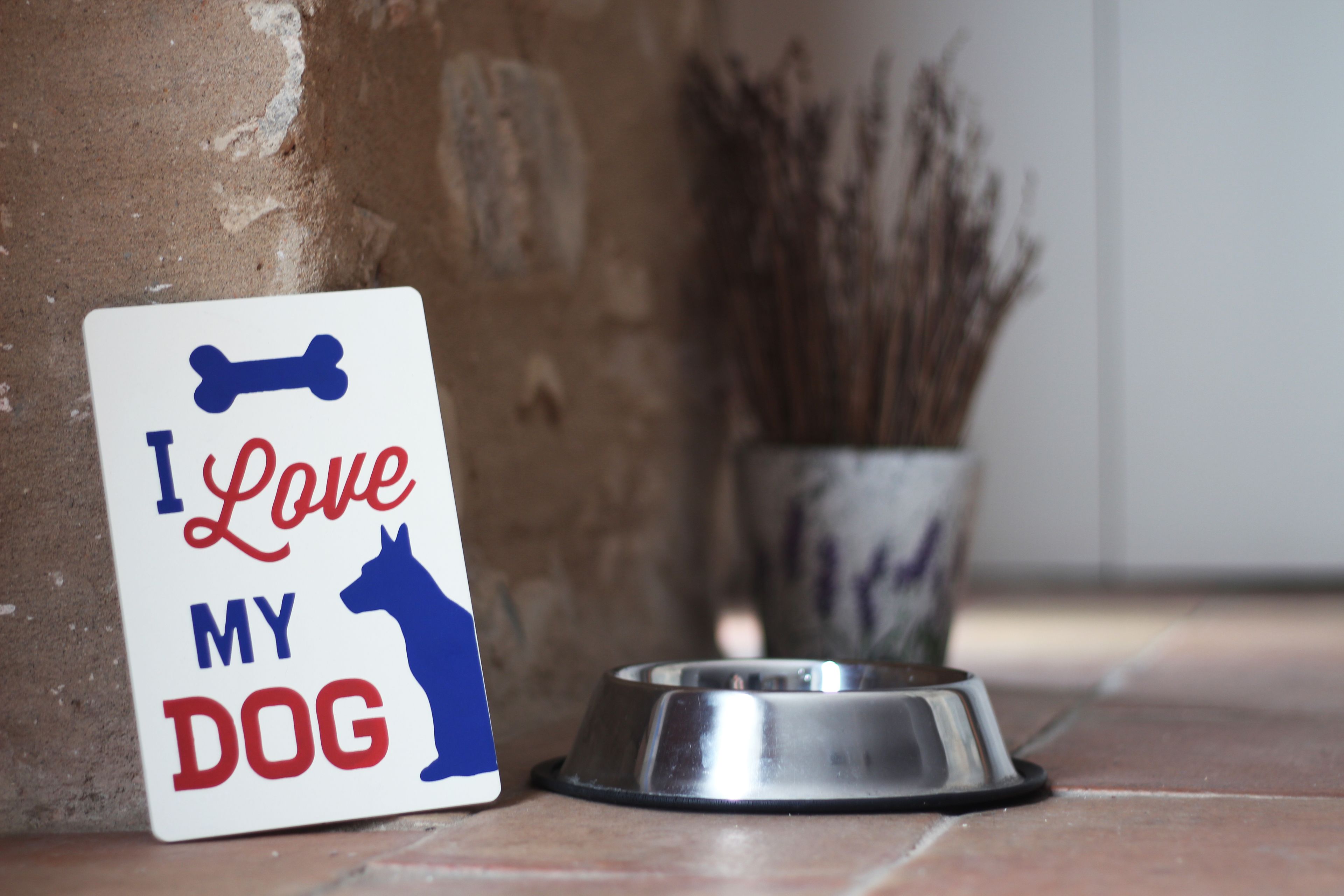 Photo - Hotel Can Bo De Pau