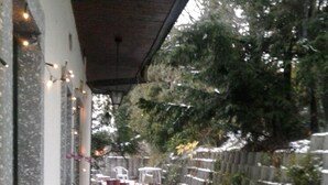 Un espace extérieur abrité, agrémenté de plantes en pot et dont le sol est recouvert de neige.