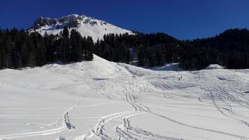 Ein verschneiter Skipisten mit Ski-Spuren, ein Berg im Hintergrund und ein bewaldeter Bereich.