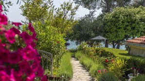 Courtyard - Villa Nela (Zadar)