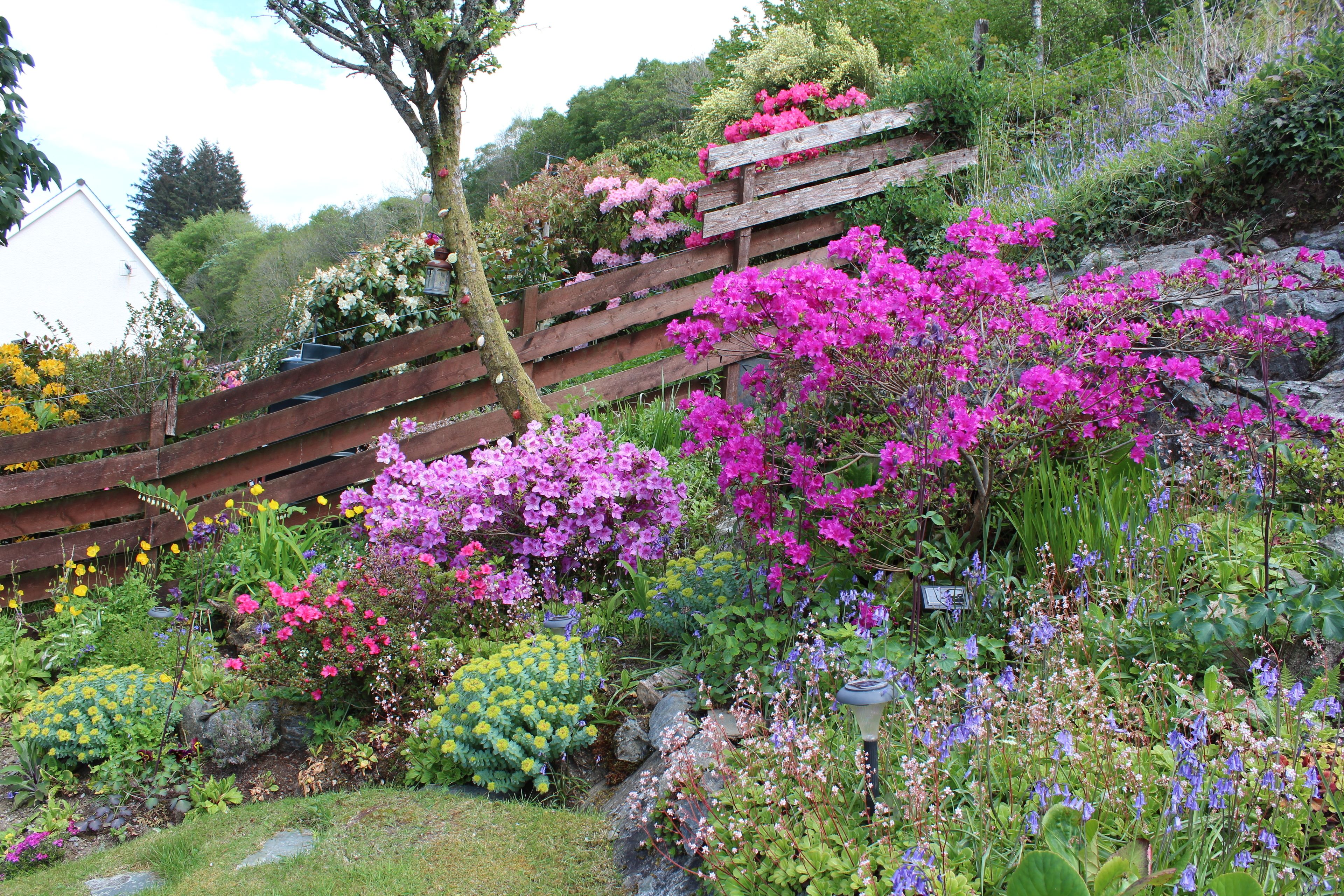 Un jardín con cerca de madera, diversas plantas en flor y un árbol.