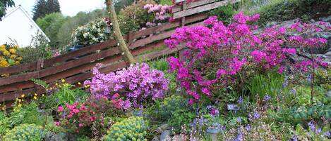 Un jardín con cerca de madera, diversas plantas en flor y un árbol.