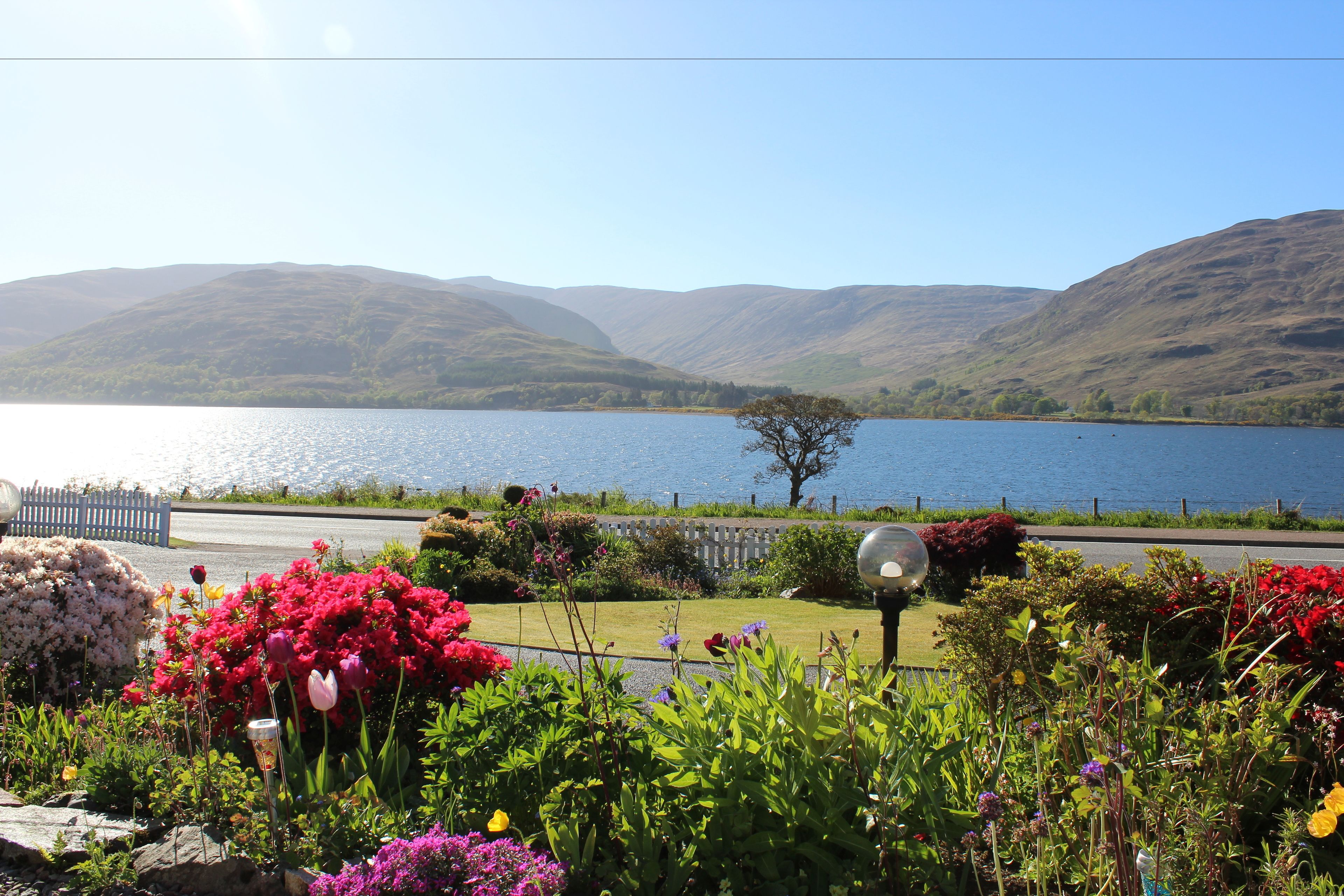 Un jardín con diversas flores, un farol, un lago y colinas al fondo.
