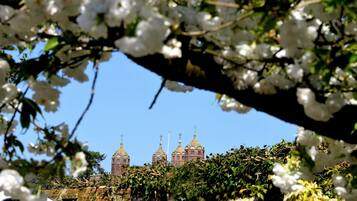 Ein historisches Gebäude mit mehreren Kuppeln und Türmen, umgeben von üppiger Bepflanzung und weißen Blumen.