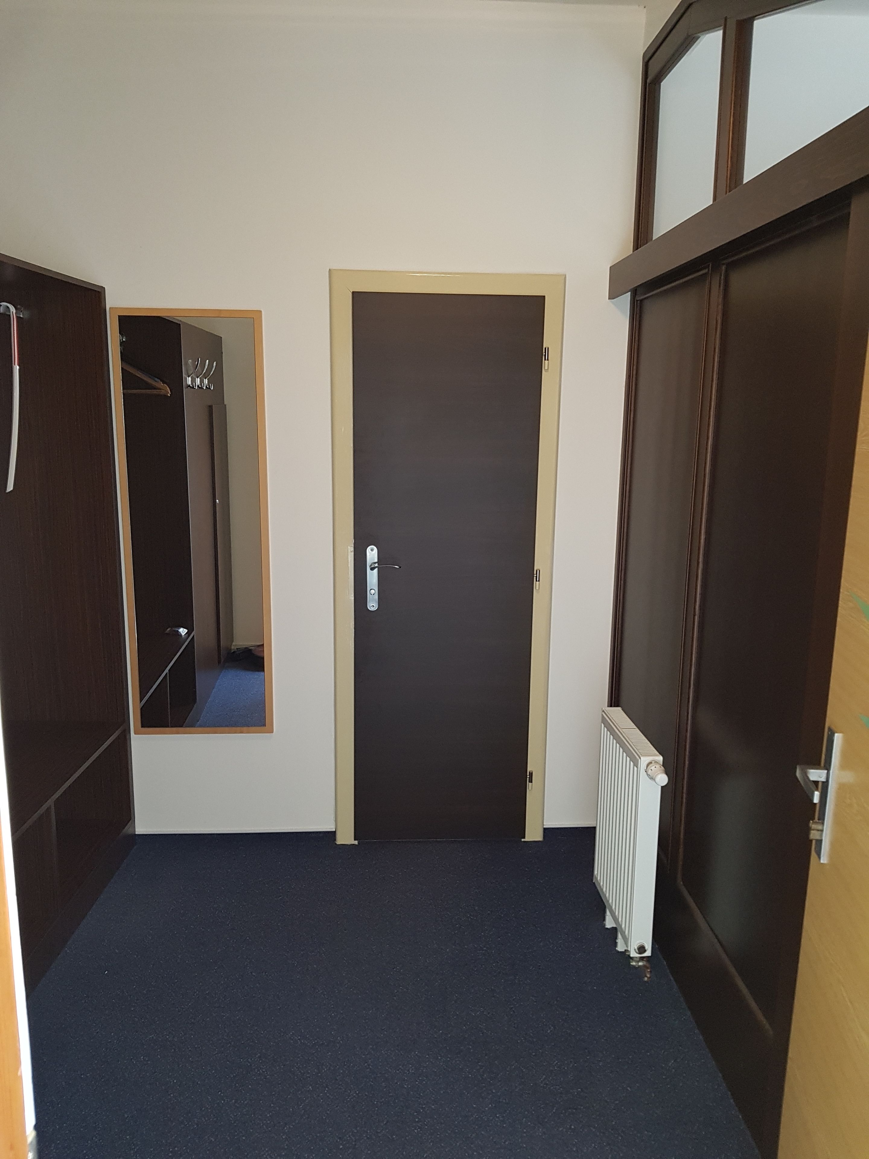 A hallway with a dark brown door, a mirror, and a radiator.