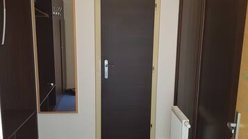 A hallway with a dark brown door, a mirror, and a radiator.