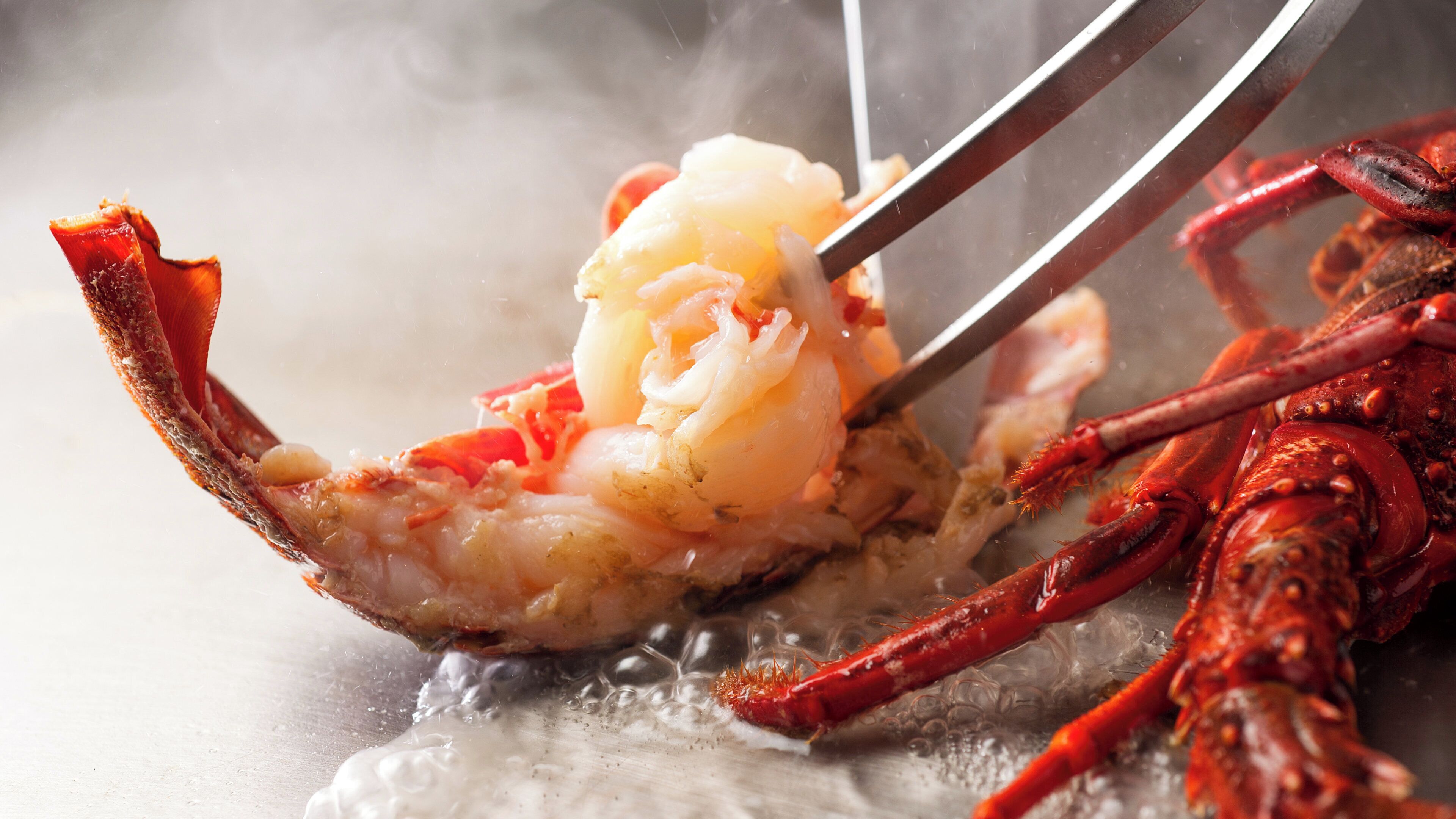 A lobster being held with tongs over a steaming pot.