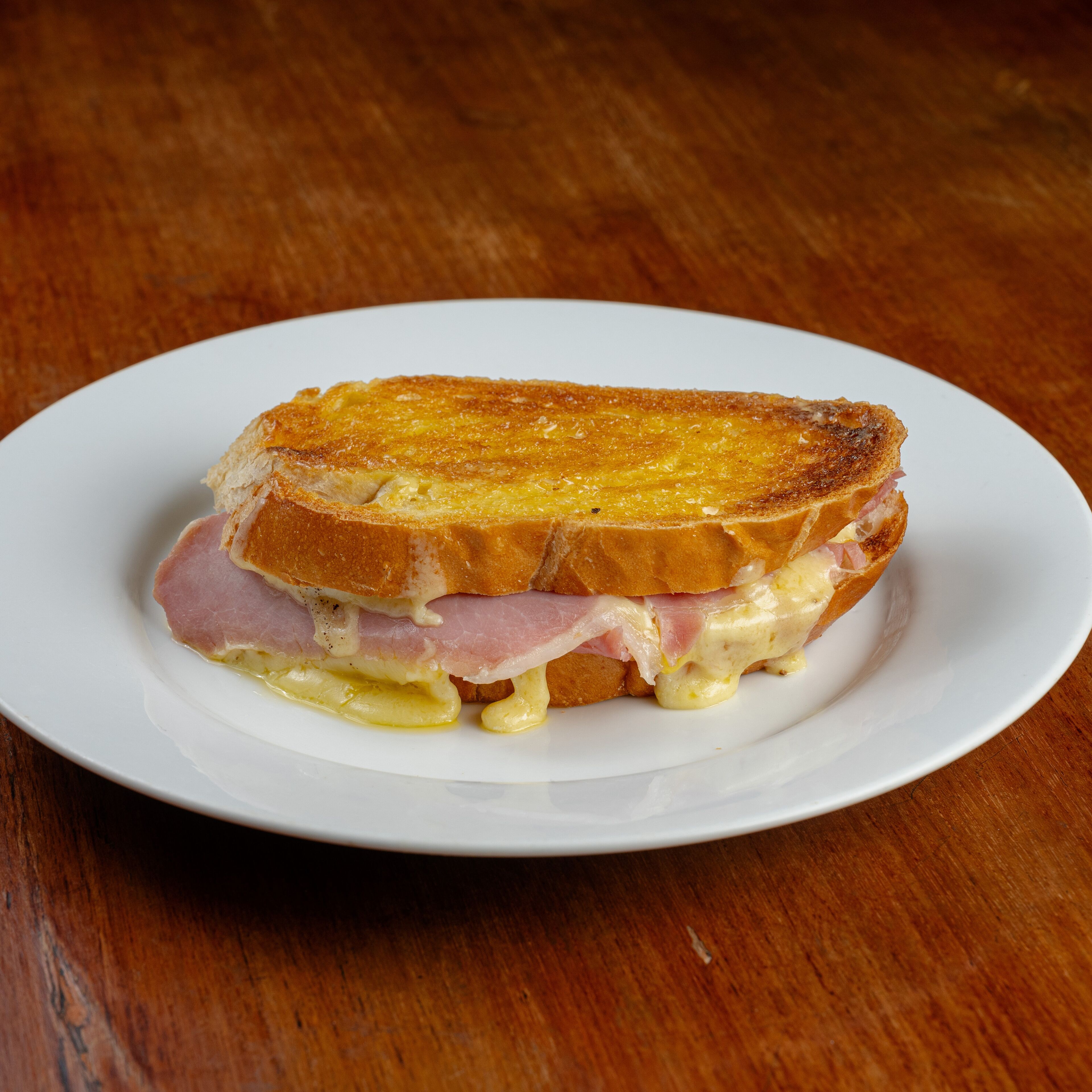 Un panino su un piatto bianco.